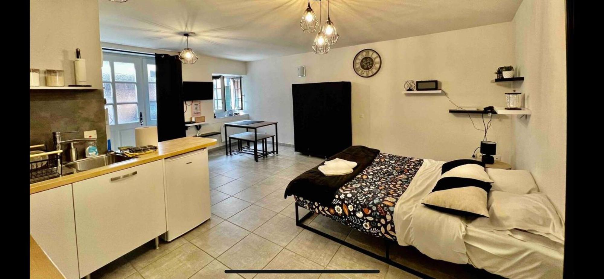 Nid Douillet - Elegant Studio En Plein Centre De Риом Экстерьер фото